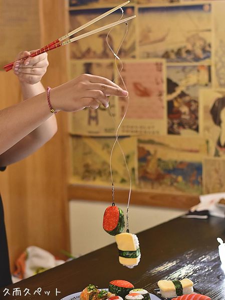 cat toy sushi stick toys