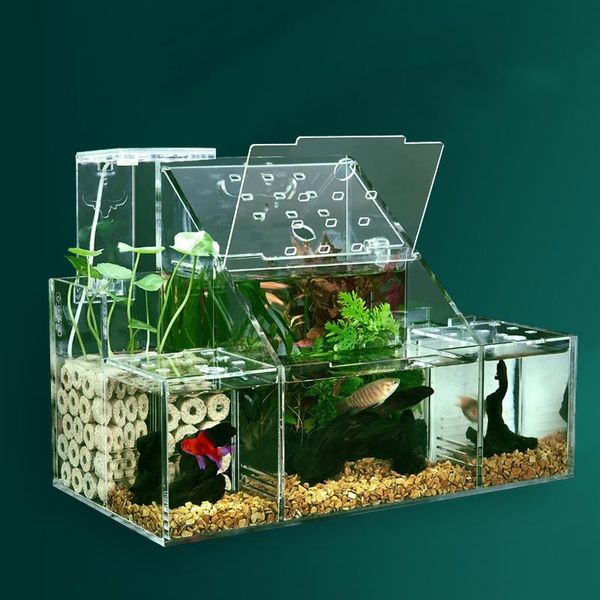 aquariums large size ecological fish tank small isolation box circulating water filter creative deskacrylic aquarium
aquariums large size ecological fish tank small isolation box circulating water filter creative deskacrylic aquarium