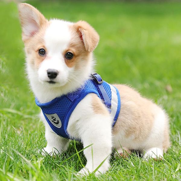 dog collars & leashes kinpets breathable traction reflective chest sling for pets vest-style breast mesh