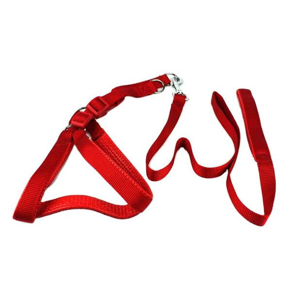 selling nylon pet dog leash with durable buckle and clip, for large medium dogs training running collars & leashes