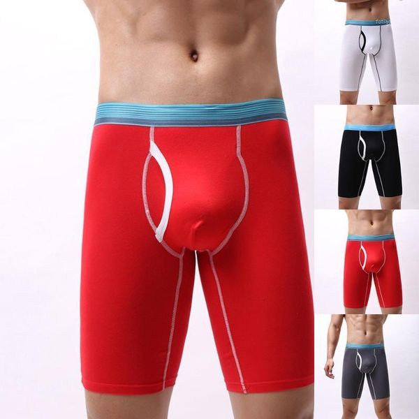 underpants long boxer short underwear for men pouch panties shorts solid color high waist cotton elastic run sports male calecon, Black;white
underpants long boxer short underwear for men pouch panties shorts solid color high waist cotton elastic run sports male calecon, Black;white