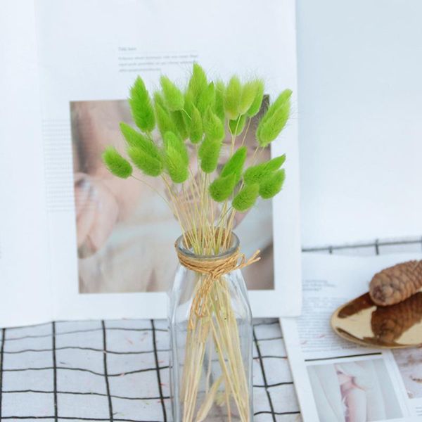 decorative flowers & wreaths 30pcs/lot gradient lagurus ovatus natural dried bouquet wedding home easter decoration tail grass real
decorative flowers & wreaths 30pcs/lot gradient lagurus ovatus natural dried bouquet wedding home easter decoration tail grass real