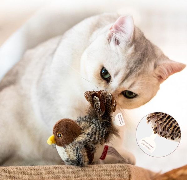 cat toys simulation bird mouse pet toy kitten interactive training scratching feather talking playing claw product for cats
cat toys simulation bird mouse pet toy kitten interactive training scratching feather talking playing claw product for cats