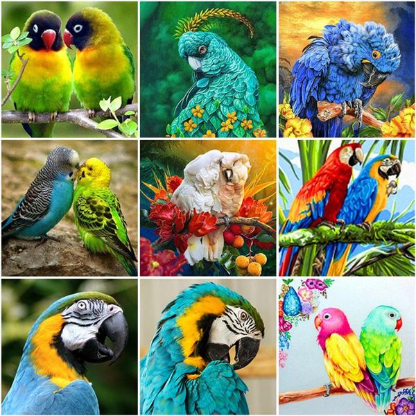 diamond painting animal embroidery full display parrot pictures rhinestones bird mosaic art cross stitch gift
diamond painting animal embroidery full display parrot pictures rhinestones bird mosaic art cross stitch gift