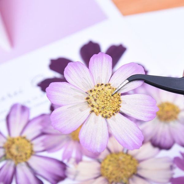 decorative flowers & wreaths 20pcs,natural pressed calliopsis flowers,real touch flower diy art craft bookmark gift nail decoration,diy wedd
decorative flowers & wreaths 20pcs,natural pressed calliopsis flowers,real touch flower diy art craft bookmark gift nail decoration,diy wedd