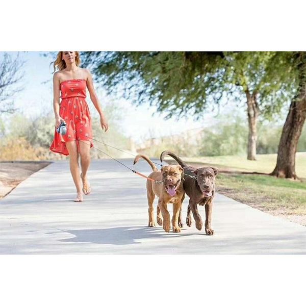 dog collars & leashes collar leash automatic retractable harness puppy rope walking cat traction small medium pet supplies
dog collars & leashes collar leash automatic retractable harness puppy rope walking cat traction small medium pet supplies