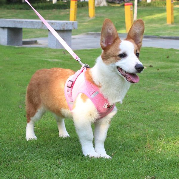 cat collars & leads comfortable breathable corduroy pet harness vest type dog leash reflective tape
cat collars & leads comfortable breathable corduroy pet harness vest type dog leash reflective tape