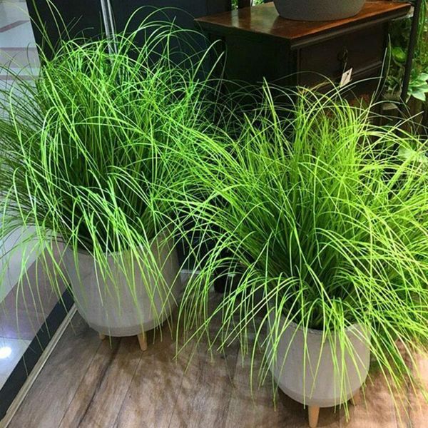 decorative flowers & wreaths 60cm large artificial tropical plants green onion grass bundle plastic flower arrangement garden wedding living
decorative flowers & wreaths 60cm large artificial tropical plants green onion grass bundle plastic flower arrangement garden wedding living