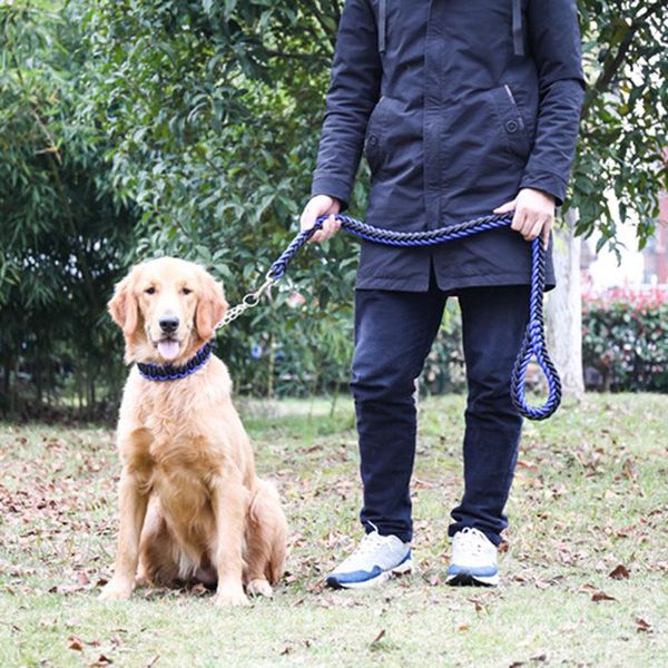dog collars & leashes double strand rope large metal chain buckle color pet traction collar set for big dogs
dog collars & leashes double strand rope large metal chain buckle color pet traction collar set for big dogs