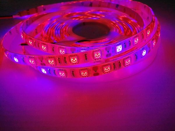 led plant growth strip light ip65 waterproof flexible tape 4 red 1 blue aquarium hydroponic grow strips
led plant growth strip light ip65 waterproof flexible tape 4 red 1 blue aquarium hydroponic grow strips