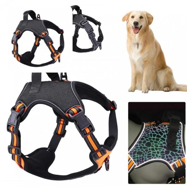 dog collars & leashes prevent break cozy outdoor vest harness pets accessories pet breathable for summer
dog collars & leashes prevent break cozy outdoor vest harness pets accessories pet breathable for summer
