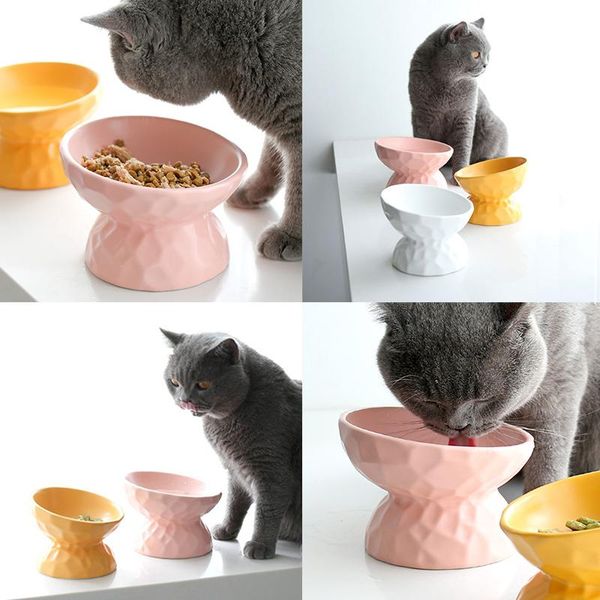 cat bowls & feeders ceramics raised bowl slanted for food stress angled less regurgitating and vomiting
cat bowls & feeders ceramics raised bowl slanted for food stress angled less regurgitating and vomiting