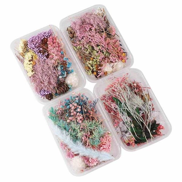 box natural dried flower dry plants for diy epoxy resin charm pendant candle jewelry making craft accessories decorative flowers & wreaths
box natural dried flower dry plants for diy epoxy resin charm pendant candle jewelry making craft accessories decorative flowers & wreaths