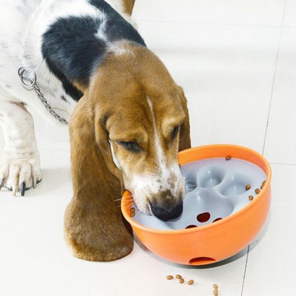 bowl puzzle feeder dog - interactive enrichment dish slow for dogs cat bowls & feeders
bowl puzzle feeder dog - interactive enrichment dish slow for dogs cat bowls & feeders