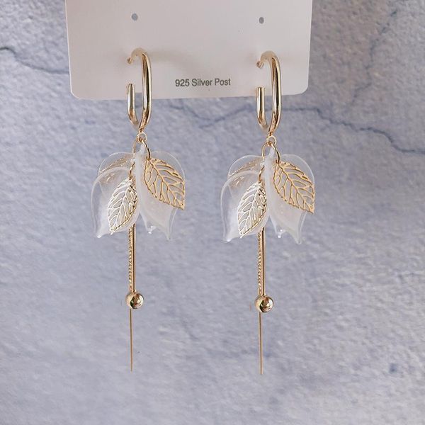 dangle & chandelier 2021 arrival acrylic trendy simple leaf long tassel earrings for women fashion geometric gold color metal party, Silver
dangle & chandelier 2021 arrival acrylic trendy simple leaf long tassel earrings for women fashion geometric gold color metal party, Silver