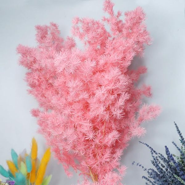 party decoration dried preserved natural flower bouquet asparagus myrioeladus ming fern diy material for
party decoration dried preserved natural flower bouquet asparagus myrioeladus ming fern diy material for