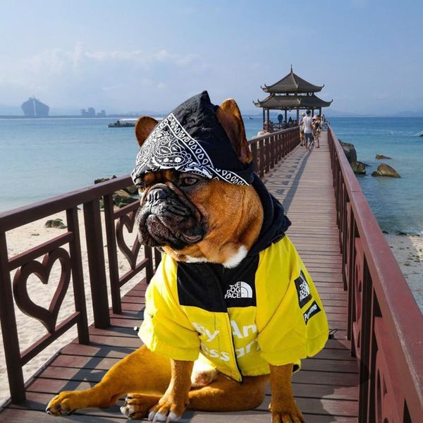 dog apparel american flag tide brand windproof rainproof puppy big pet windbreaker jacket
dog apparel american flag tide brand windproof rainproof puppy big pet windbreaker jacket