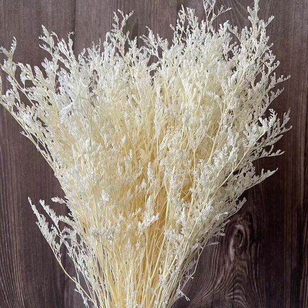 60g /3545cm natura fresh vaentine grass preserved fowersrea natura ove grass forever pant dancing fower for home decor
60g /3545cm natura fresh vaentine grass preserved fowersrea natura ove grass forever pant dancing fower for home decor