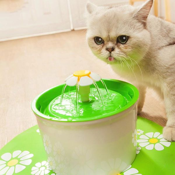 cat bowls & feeders 1.6l automatic water fountain electric mute feeder dog pet drinker bowl drinking dispenser with charcoal filter
cat bowls & feeders 1.6l automatic water fountain electric mute feeder dog pet drinker bowl drinking dispenser with charcoal filter
