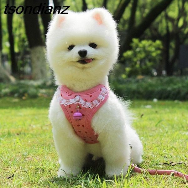 dog harness puppy leash set breathable mesh adjustable chest strap cute bell lace pet vest harnesses small cat supplies collars & leashes
dog harness puppy leash set breathable mesh adjustable chest strap cute bell lace pet vest harnesses small cat supplies collars & leashes