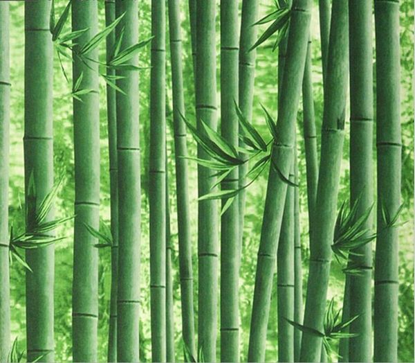 visual 3d bamboo wallpaper restaurant entrance living room tv background wall classical chinese style wallpapers
visual 3d bamboo wallpaper restaurant entrance living room tv background wall classical chinese style wallpapers