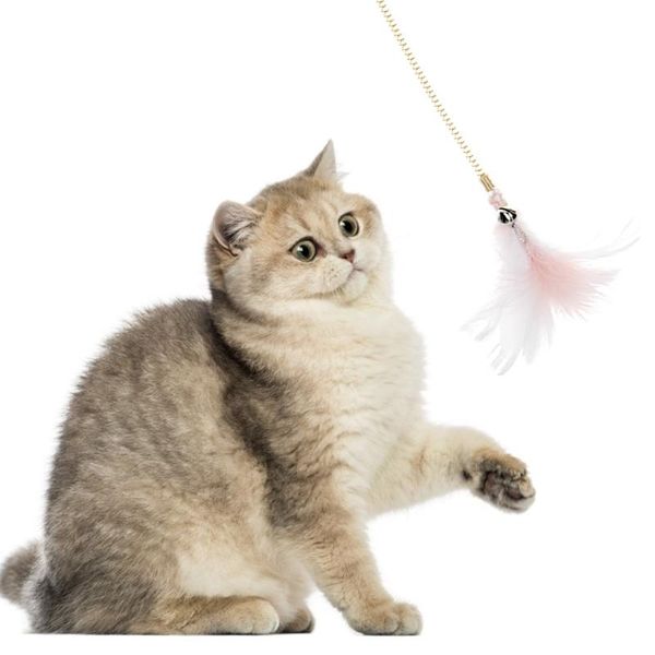 cat toys 1pc funny feather used for indoor games teaser interactive toy cats stick pet supplies
cat toys 1pc funny feather used for indoor games teaser interactive toy cats stick pet supplies
