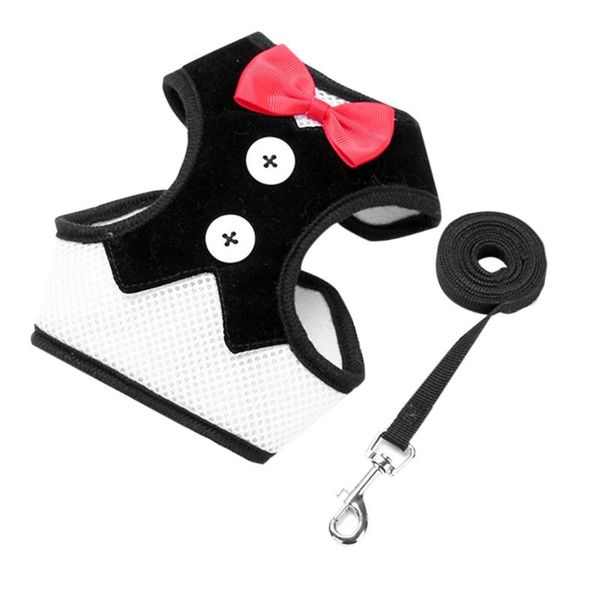 dog apparel unique traction rope puppy teddy vest breathable cute bow tie evening dress pet supplies bright color coat
dog apparel unique traction rope puppy teddy vest breathable cute bow tie evening dress pet supplies bright color coat