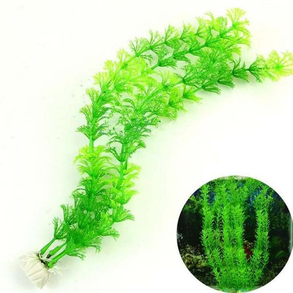 mini artificial underwater plants aquarium for home fish tank decoration water grass viewing decorations decorative flowers & wreaths
mini artificial underwater plants aquarium for home fish tank decoration water grass viewing decorations decorative flowers & wreaths