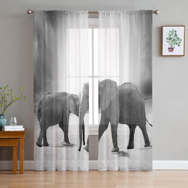 curtain & drapes elephant gradient gray tulle curtains for living room bedroom modern voile kitchen window treatment
curtain & drapes elephant gradient gray tulle curtains for living room bedroom modern voile kitchen window treatment