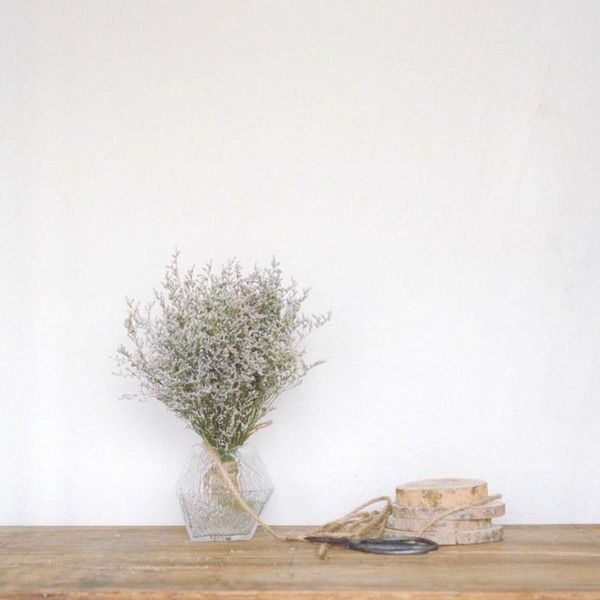 lover grass natural fresh dried preserved dancing bouquet forever decor flower branch flowers,real for home gra m1v2 decorative flowers & wr 
lover grass natural fresh dried preserved dancing bouquet forever decor flower branch flowers,real for home gra m1v2 decorative flowers & wr