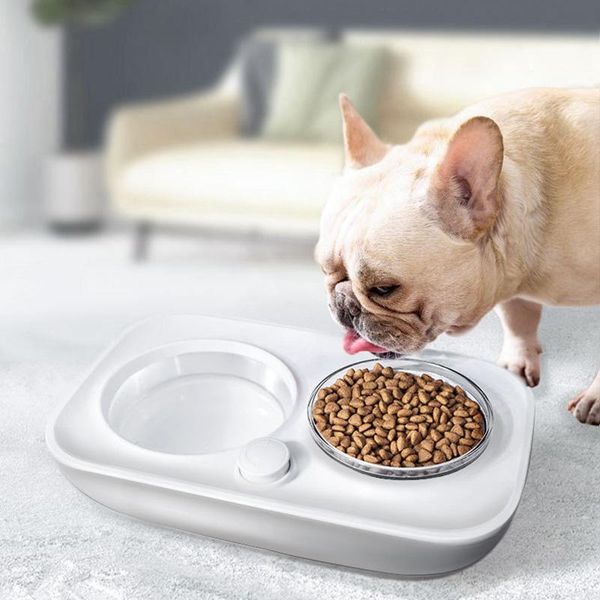 cat bowls & feeders double dog pet automatic water dispenser plastic dishes feeder for dogs cats 15 degrees tilt angle 1
cat bowls & feeders double dog pet automatic water dispenser plastic dishes feeder for dogs cats 15 degrees tilt angle 1