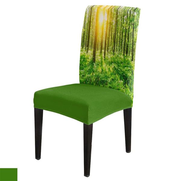 chair covers dining room cover forest grassland sunshine trees table chairs for kitchen tablecloth home decor
chair covers dining room cover forest grassland sunshine trees table chairs for kitchen tablecloth home decor