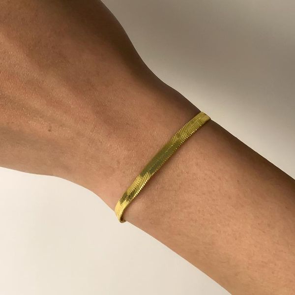 link, chain 2021 trendy flat blade snake bracelets for women simple minimalist gold color couple wrist jewelry, Black
link, chain 2021 trendy flat blade snake bracelets for women simple minimalist gold color couple wrist jewelry, Black