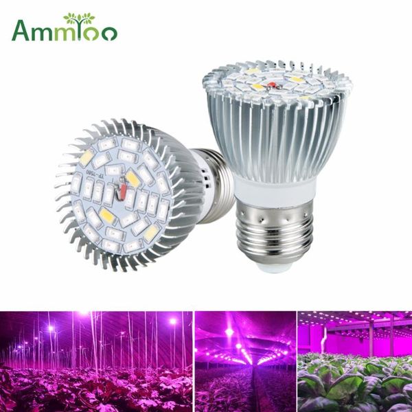 ammtoo full spectrum led grow light ac85-265v e14 e27 gu10 red blue uv ir growing lamp for hydroponics flowers plants seeds lights
ammtoo full spectrum led grow light ac85-265v e14 e27 gu10 red blue uv ir growing lamp for hydroponics flowers plants seeds lights