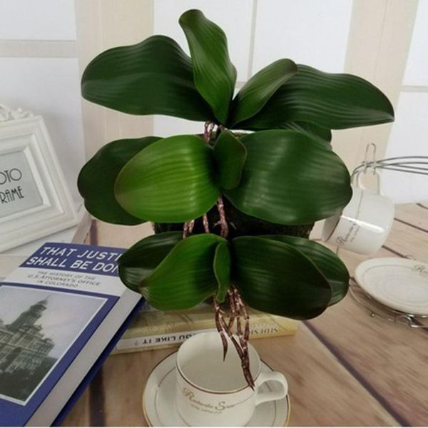 1pc real touch phalaenopsis leaf artificial plants decorative flowers auxiliary material flower decoration orchid leaves & wreaths
1pc real touch phalaenopsis leaf artificial plants decorative flowers auxiliary material flower decoration orchid leaves & wreaths