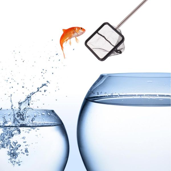fishing accessories mesh fish tank net with long handle fine fishnet extendable 21-40cm for aquarium lakes ponds fi
fishing accessories mesh fish tank net with long handle fine fishnet extendable 21-40cm for aquarium lakes ponds fi
