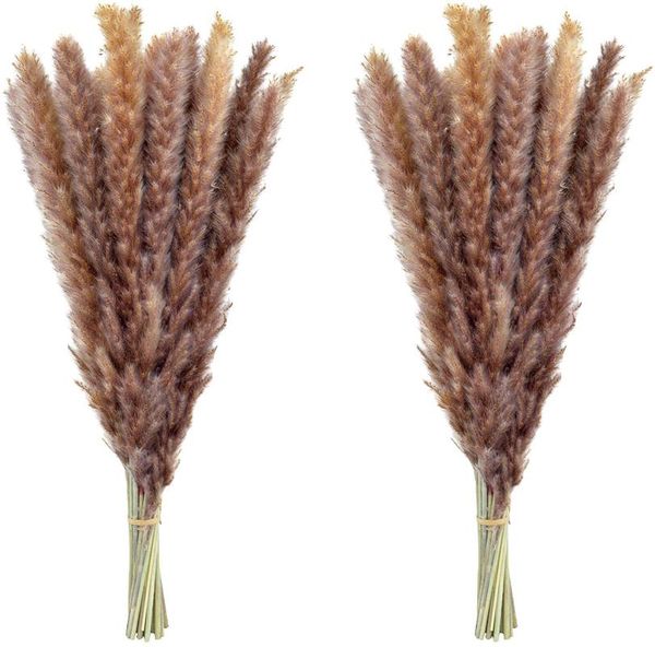 decorative flowers & wreaths 30pcs reeds natural dekoration dried pampas grass dry phragmites bunch communis wedding decoration trawa
decorative flowers & wreaths 30pcs reeds natural dekoration dried pampas grass dry phragmites bunch communis wedding decoration trawa