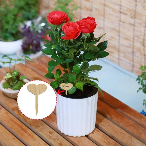 planters & pots garden plants laber labels markers plant tags wooden 60pcs eco-friendly
planters & pots garden plants laber labels markers plant tags wooden 60pcs eco-friendly