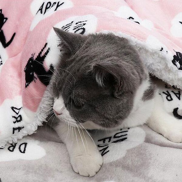100x73cm warm cat mat for dog thermal pet soft sleep keep winter blankets pad self heating rug washable beds & furniture
100x73cm warm cat mat for dog thermal pet soft sleep keep winter blankets pad self heating rug washable beds & furniture