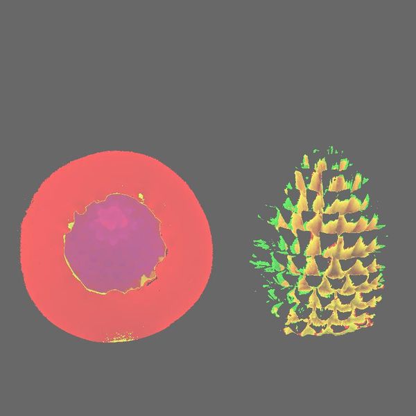 cake tools pine cone nuts silicone fandont mold silica gel moulds chocolate molds nutcandy mould gumpaste
cake tools pine cone nuts silicone fandont mold silica gel moulds chocolate molds nutcandy mould gumpaste