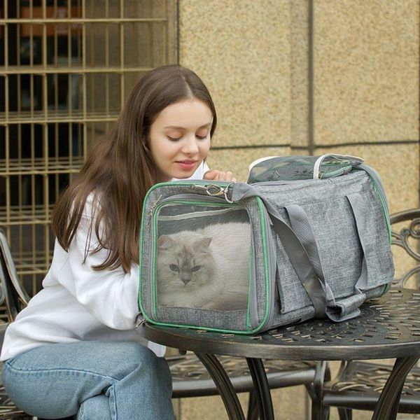 dog car seat covers pet portable bag carrier for cat trolley rolling collapsible backpack breathable travel detachable mute wheel
dog car seat covers pet portable bag carrier for cat trolley rolling collapsible backpack breathable travel detachable mute wheel