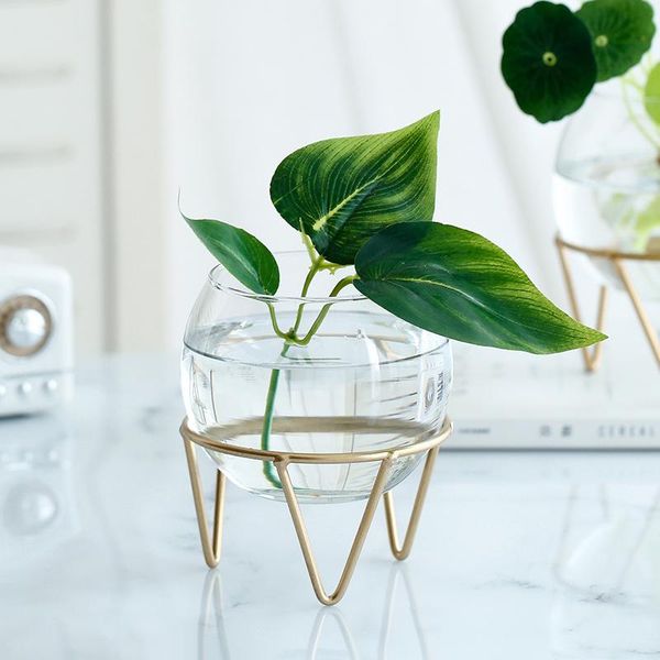 vases nordic home transparent glass flower vase crystal hydroponics terrarium plants fish tank decoration living room ornaments
vases nordic home transparent glass flower vase crystal hydroponics terrarium plants fish tank decoration living room ornaments