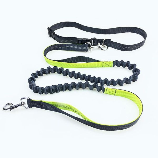 elite spanker dog leash pet running/sport rope dogs traction outdoor walking the collars & leashes
elite spanker dog leash pet running/sport rope dogs traction outdoor walking the collars & leashes