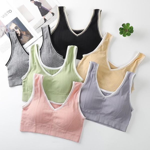 seamless sports bras high elastic breathable crop padded shockproof solid color yoga bra stretchy workout bralette outfit
seamless sports bras high elastic breathable crop padded shockproof solid color yoga bra stretchy workout bralette outfit