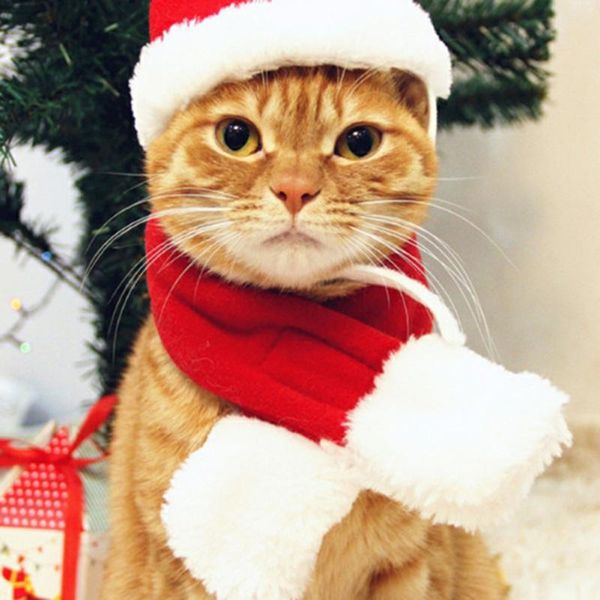 dog apparel christmas hat santa red scarf halloween pet costume for cat puppy year funny clothes home decor
dog apparel christmas hat santa red scarf halloween pet costume for cat puppy year funny clothes home decor