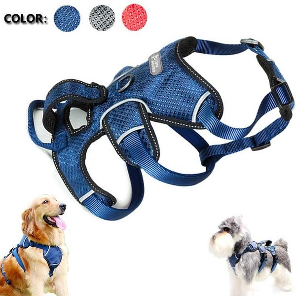 dog collars & leashes collar harness vest adjustable reflective large safety vehicular leads pet supplies for small medium dogs
dog collars & leashes collar harness vest adjustable reflective large safety vehicular leads pet supplies for small medium dogs