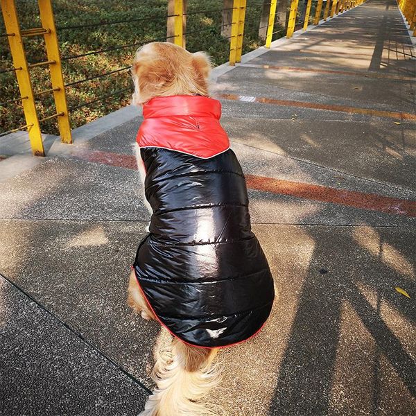 dog apparel big clothes winter large clothing waterproof coat jacket samoyed husky labrador golden retriever pet outfit vest
dog apparel big clothes winter large clothing waterproof coat jacket samoyed husky labrador golden retriever pet outfit vest