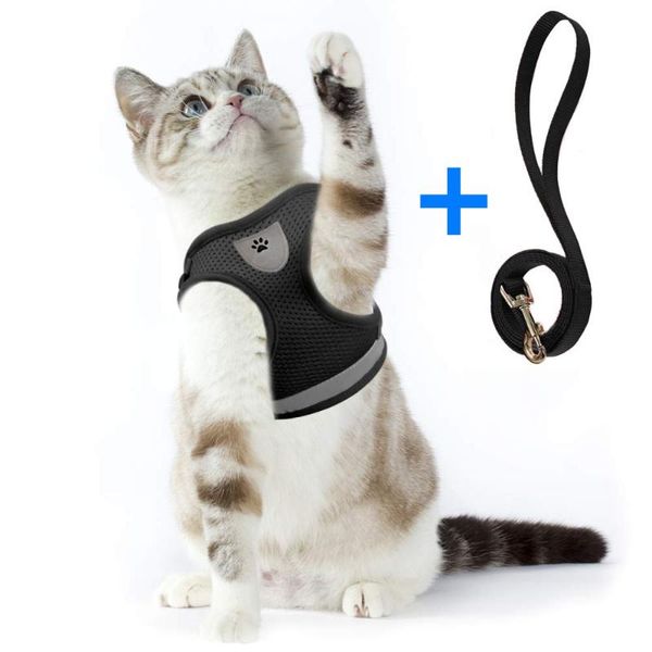 cat collars & leads harness and leash escape proof pet clothes kitten puppy dogs vest easy control reflective
cat collars & leads harness and leash escape proof pet clothes kitten puppy dogs vest easy control reflective