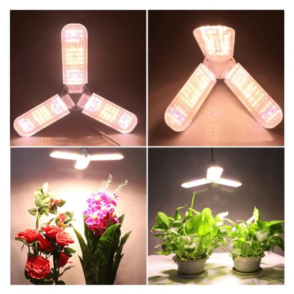 bulb phytolamp red blue warm white full spectrum 24w 36w 48w led grow light plant lamp for indoor greenhouse vegs seed lights
bulb phytolamp red blue warm white full spectrum 24w 36w 48w led grow light plant lamp for indoor greenhouse vegs seed lights
