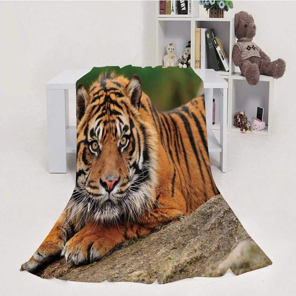 Pretty Sumatran Tiger Crouching on a Rock,House Flannel Throw Microfiber Blanket
Pretty Sumatran Tiger Crouching on a Rock,House Flannel Throw Microfiber Blanket